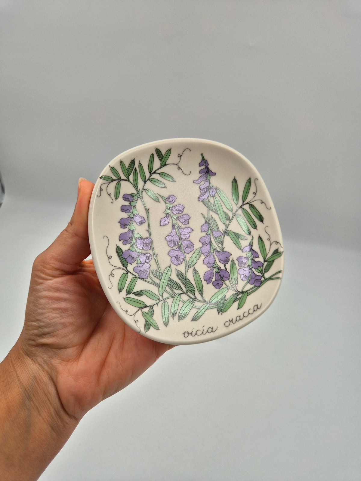 Arabia, Esteri Tomula, Botanica Vicia cracca (Hiirenvirna, Tufted Vetch) Wall Plate