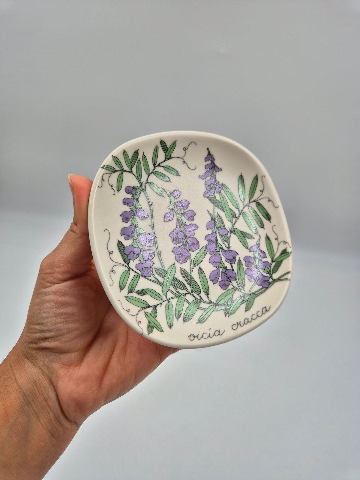 Arabia, Esteri Tomula, Botanica Vicia cracca (Hiirenvirna, Tufted Vetch) Wall Plate