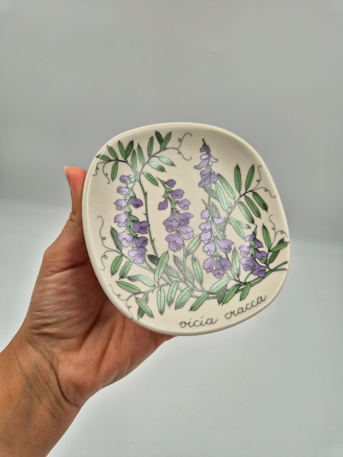 Arabia, Esteri Tomula, Botanica Vicia cracca (Hiirenvirna, Tufted Vetch) Wall Plate