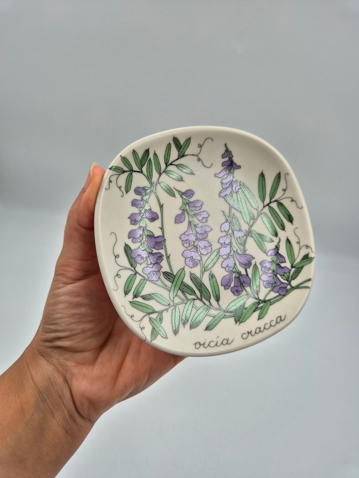 Arabia, Esteri Tomula, Botanica Vicia cracca (Hiirenvirna, Tufted Vetch) Wall Plate