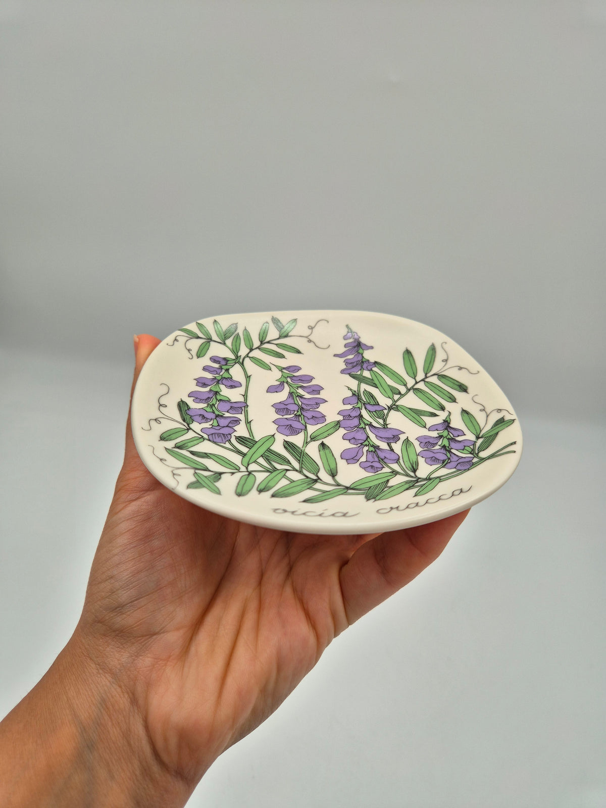 Arabia, Esteri Tomula, Botanica Vicia cracca (Hiirenvirna, Tufted Vetch) Wall Plate