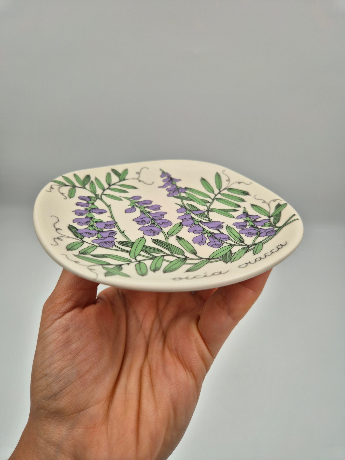 Arabia, Esteri Tomula, Botanica Vicia cracca (Hiirenvirna, Tufted Vetch) Wall Plate