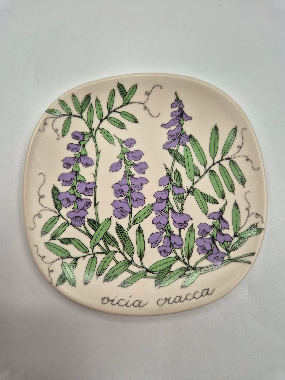 Arabia, Esteri Tomula, Botanica Vicia cracca (Hiirenvirna, Tufted Vetch) Wall Plate