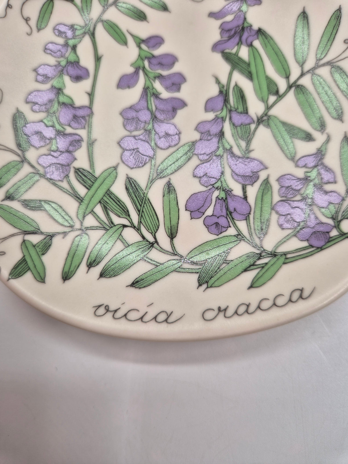 Arabia, Esteri Tomula, Botanica Vicia cracca (Hiirenvirna, Tufted Vetch) Wall Plate