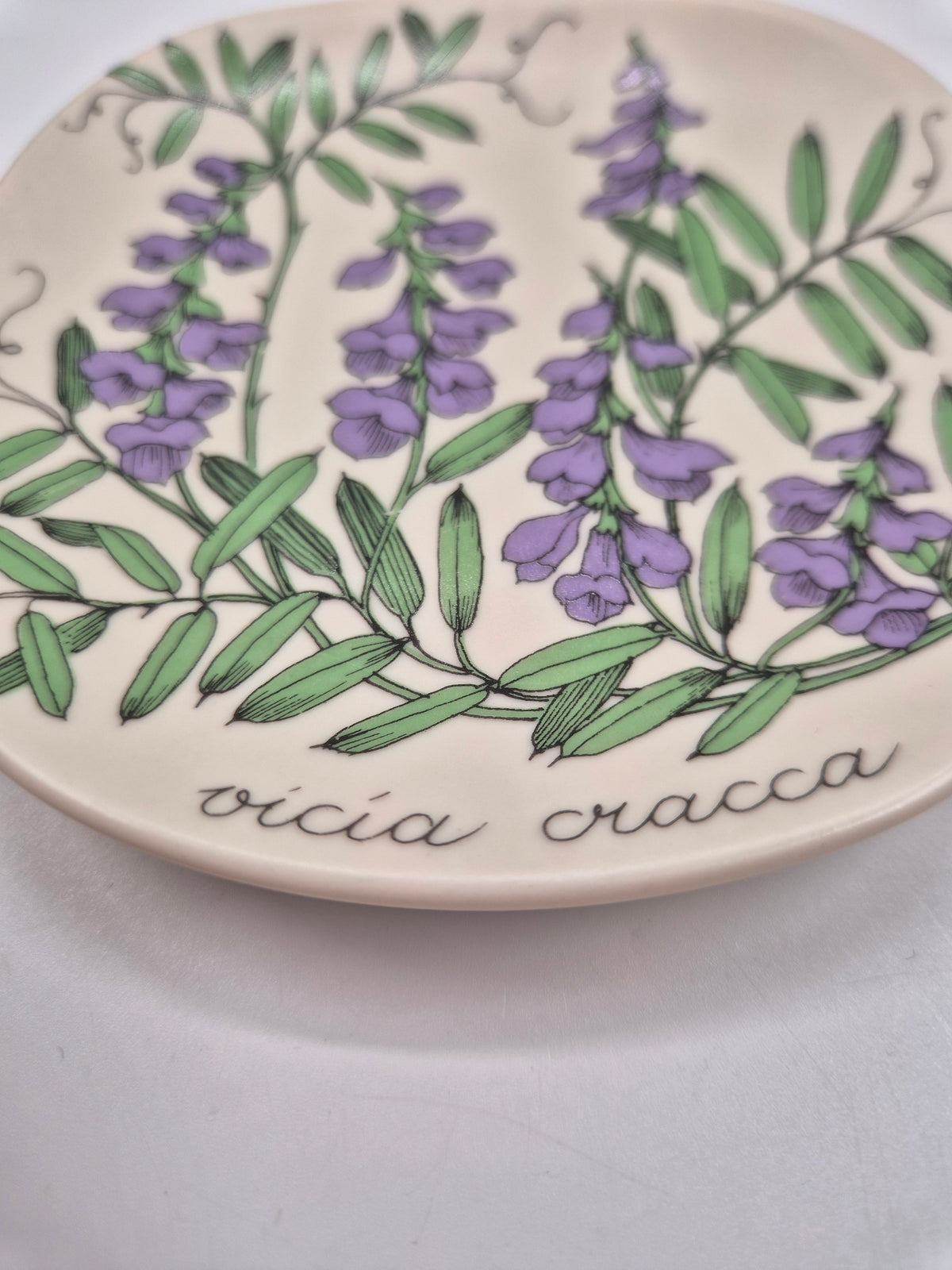 Arabia, Esteri Tomula, Botanica Vicia cracca (Hiirenvirna, Tufted Vetch) Wall Plate