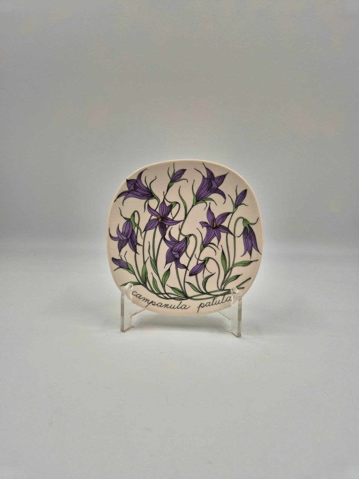 Arabia, Esteri Tomula, Botanica Campanula spatula (Harakankello, Spreading Bellflower) Wall Plate