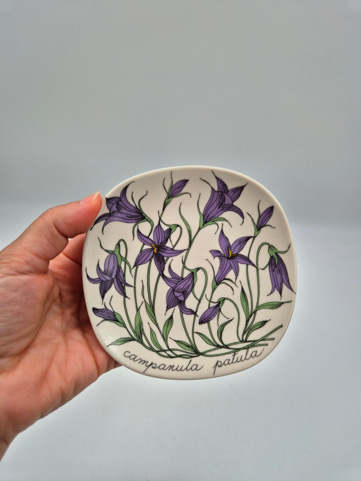 Arabia, Esteri Tomula, Botanica Campanula spatula (Harakankello, Spreading Bellflower) Wall Plate