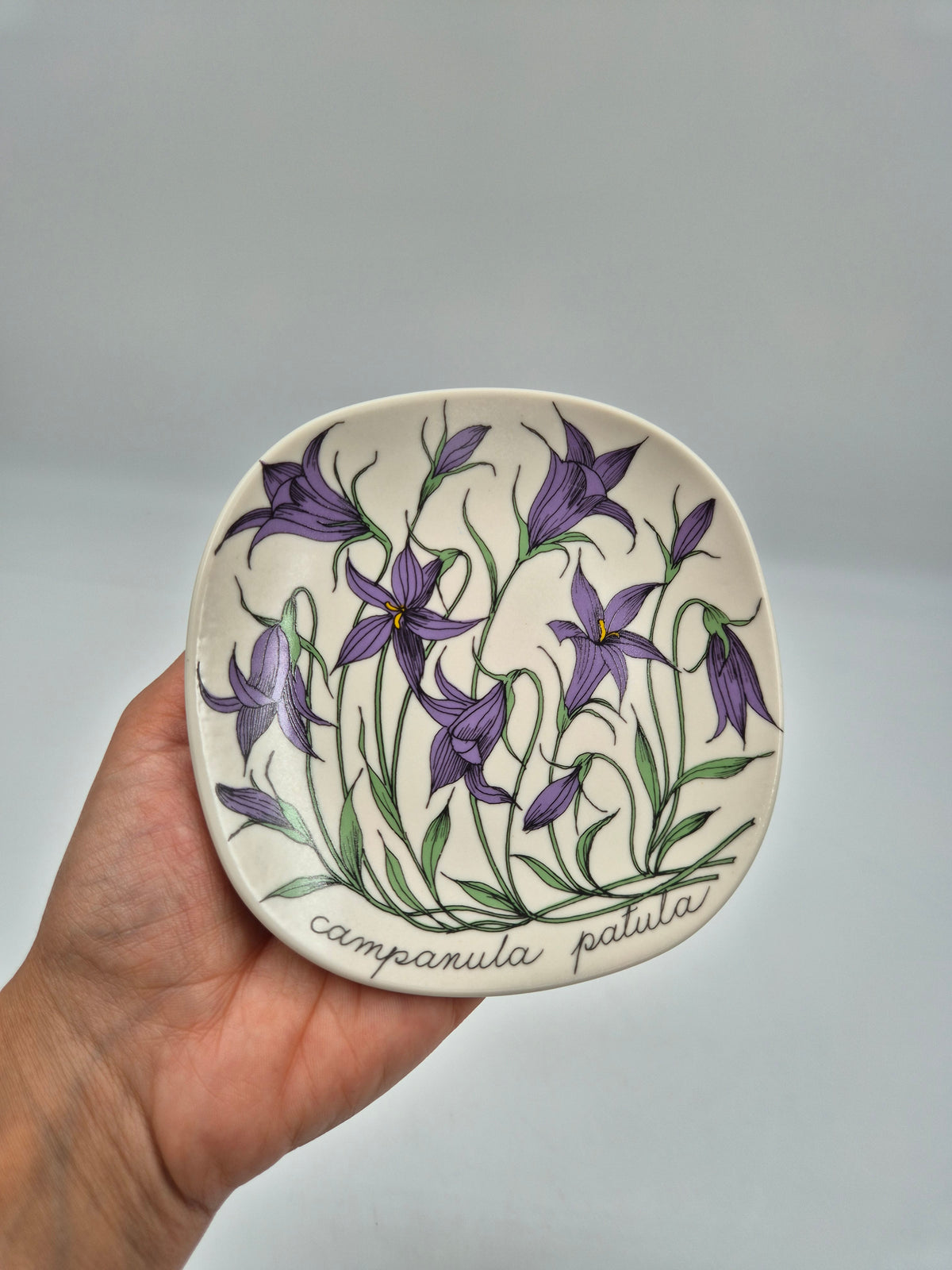 Arabia, Esteri Tomula, Botanica Campanula spatula (Harakankello, Spreading Bellflower) Wall Plate