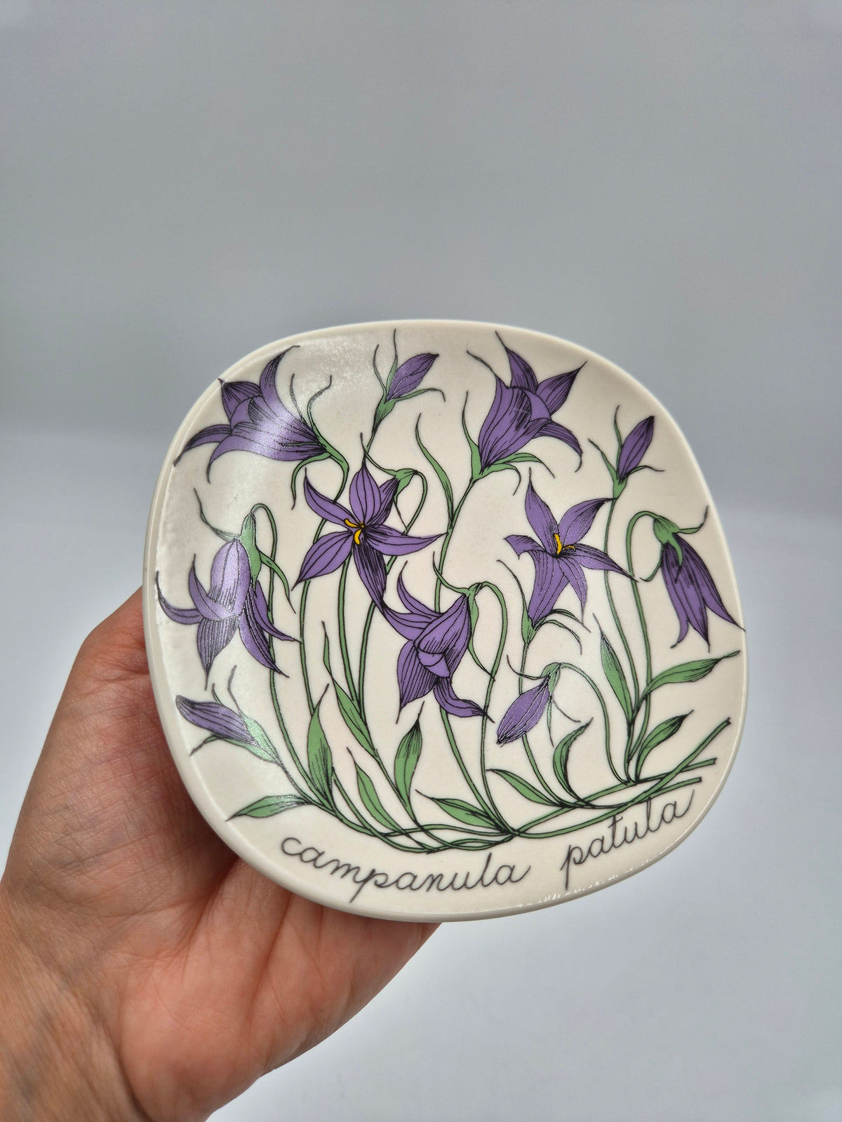 Arabia, Esteri Tomula, Botanica Campanula spatula (Harakankello, Spreading Bellflower) Wall Plate