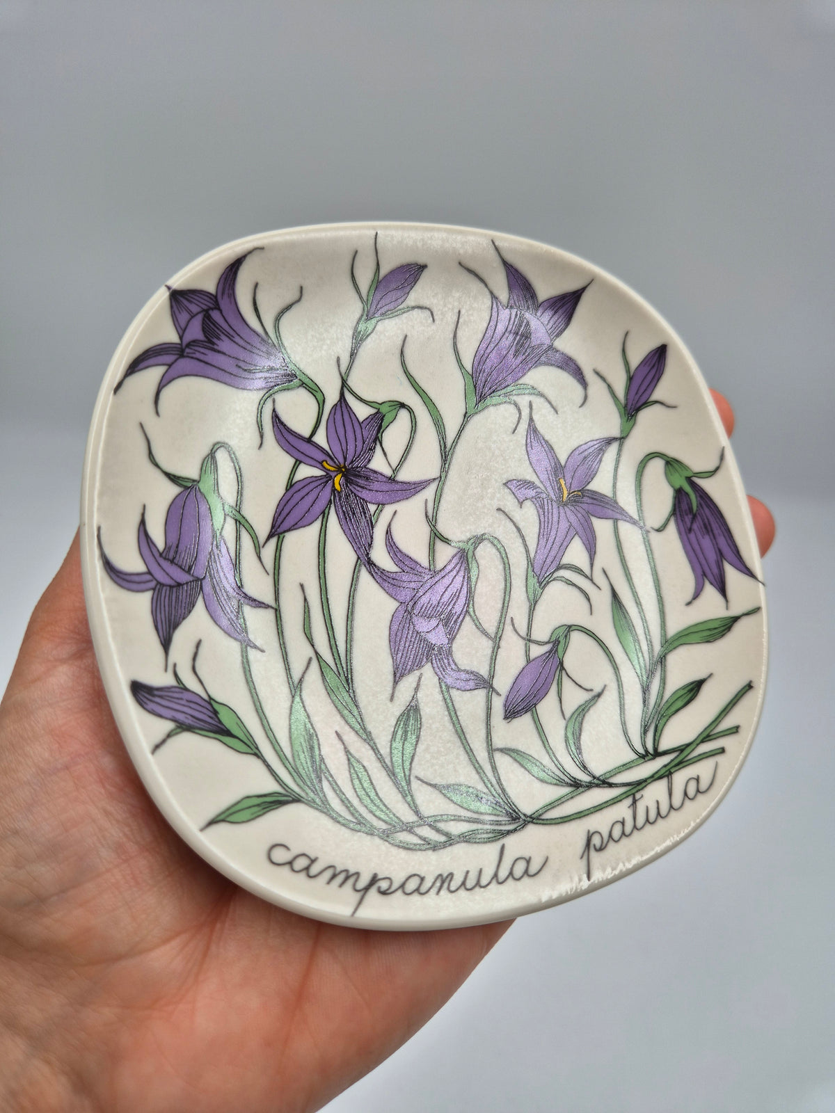 Arabia, Esteri Tomula, Botanica Campanula spatula (Harakankello, Spreading Bellflower) Wall Plate