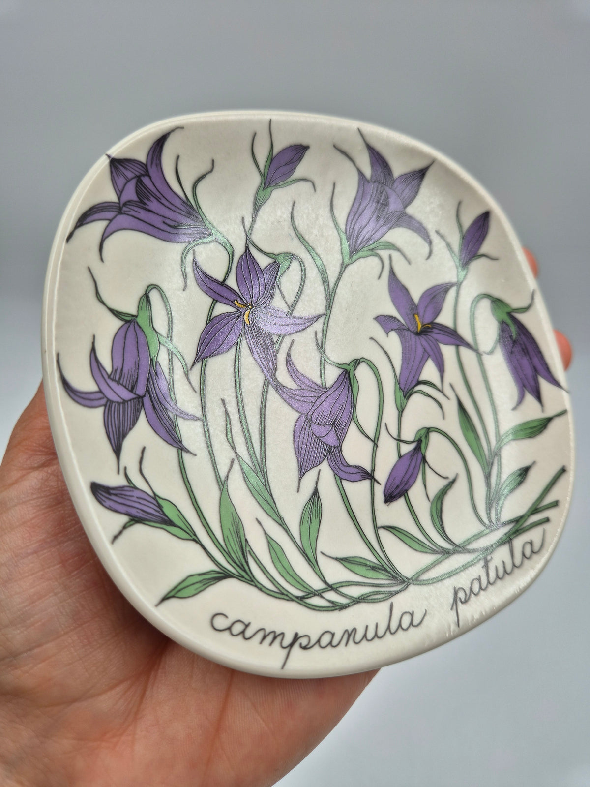 Arabia, Esteri Tomula, Botanica Campanula spatula (Harakankello, Spreading Bellflower) Wall Plate