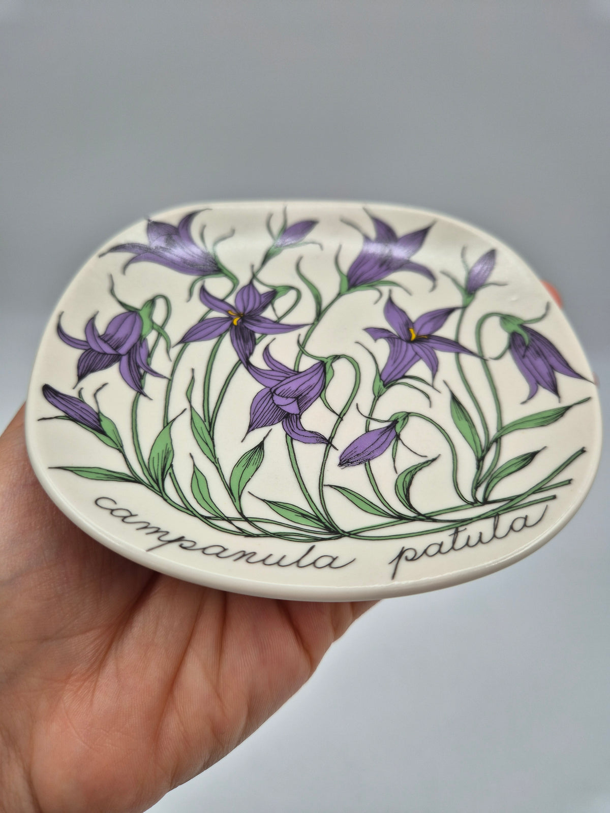 Arabia, Esteri Tomula, Botanica Campanula spatula (Harakankello, Spreading Bellflower) Wall Plate