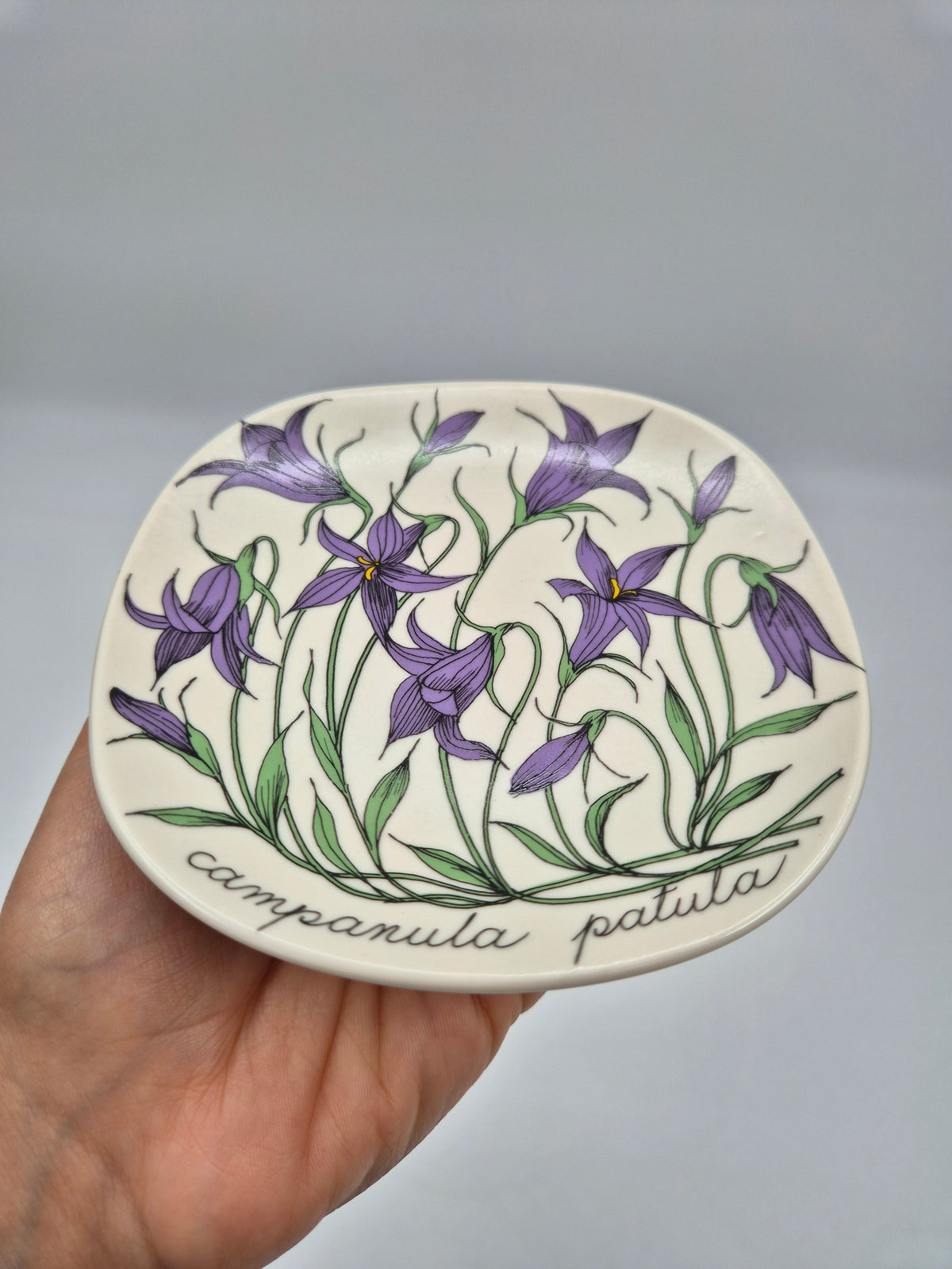 Arabia, Esteri Tomula, Botanica Campanula spatula (Harakankello, Spreading Bellflower) Wall Plate