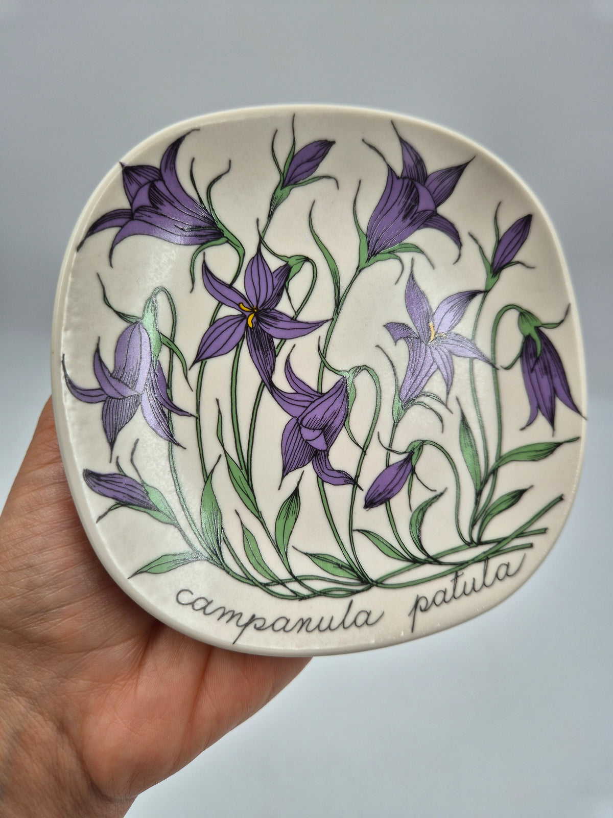 Arabia, Esteri Tomula, Botanica Campanula spatula (Harakankello, Spreading Bellflower) Wall Plate