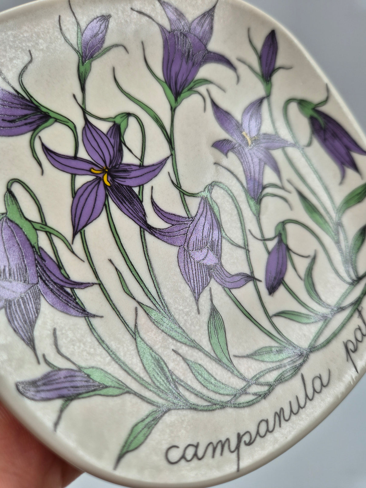Arabia, Esteri Tomula, Botanica Campanula spatula (Harakankello, Spreading Bellflower) Wall Plate