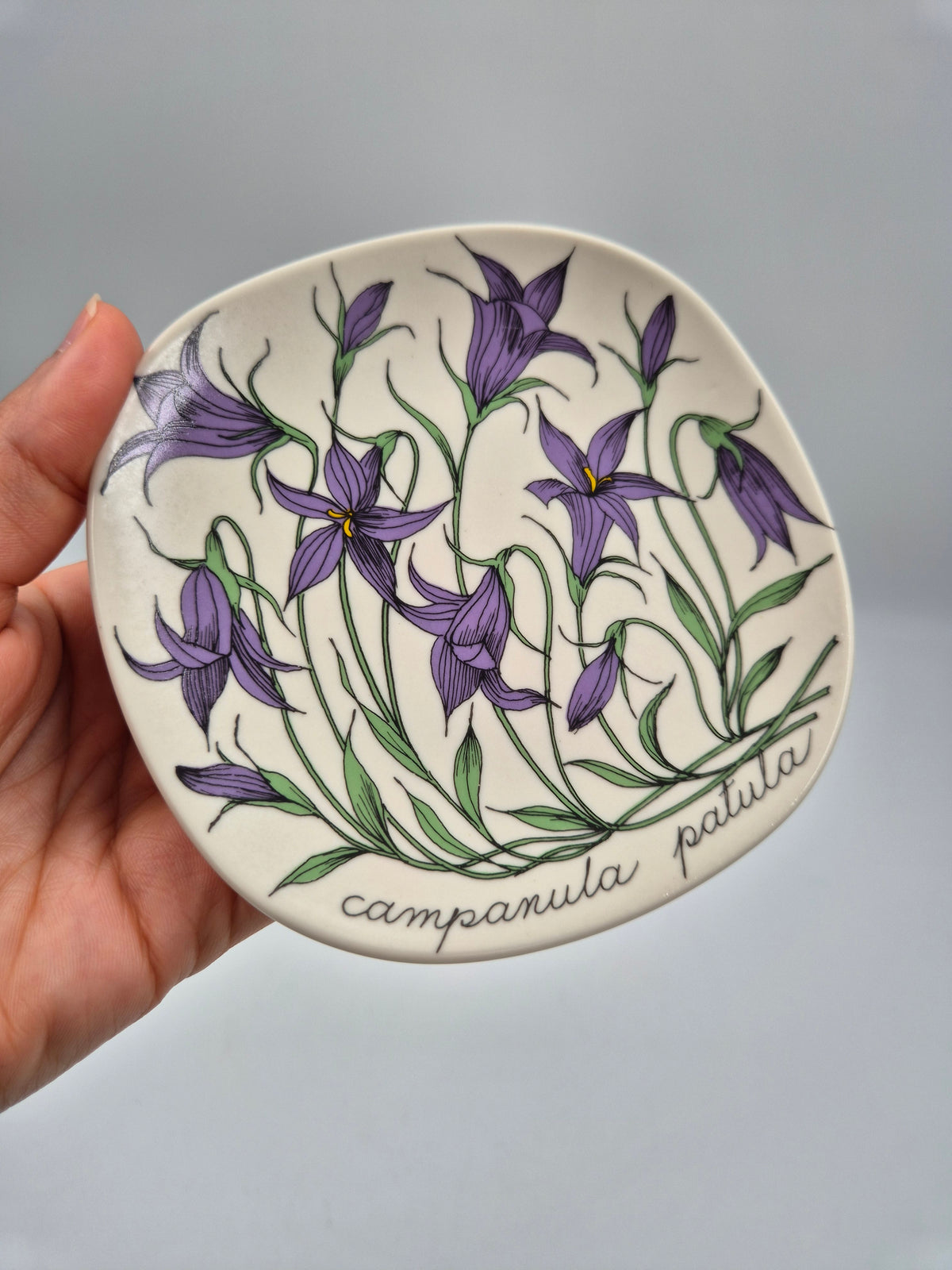 Arabia, Esteri Tomula, Botanica Campanula spatula (Harakankello, Spreading Bellflower) Wall Plate