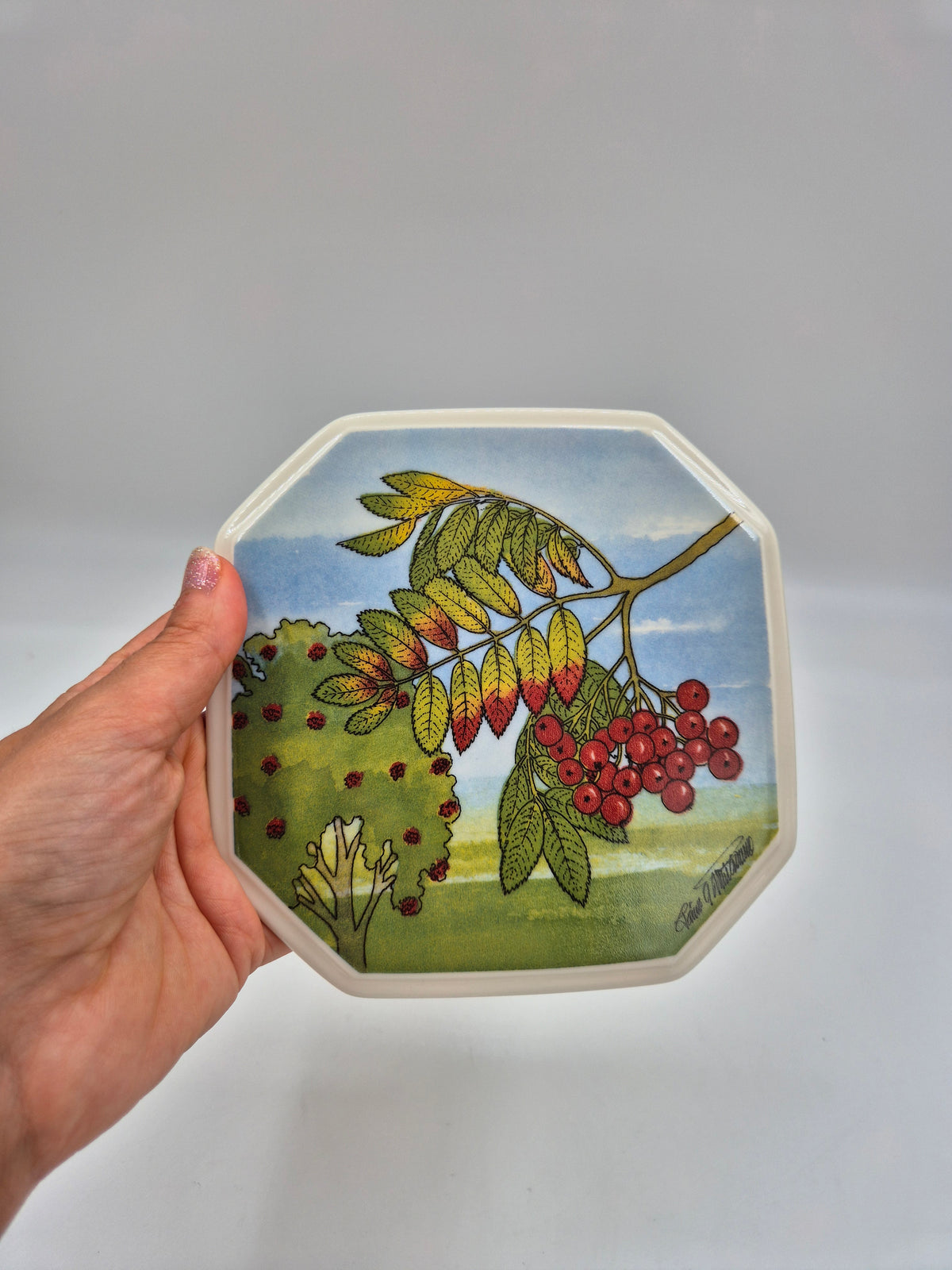 Arabia Pihlaja Wall Plate 15cm, Rowan Berry, North Savo Flower, Toivo G Utriainen