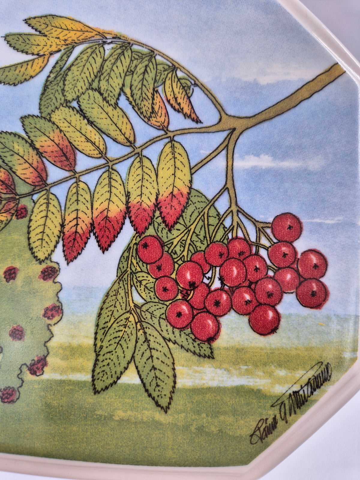 Arabia Pihlaja Wall Plate 15cm, Rowan Berry, North Savo Flower, Toivo G Utriainen