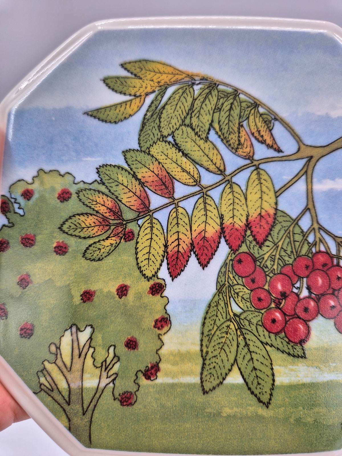 Arabia Pihlaja Wall Plate 15cm, Rowan Berry, North Savo Flower, Toivo G Utriainen