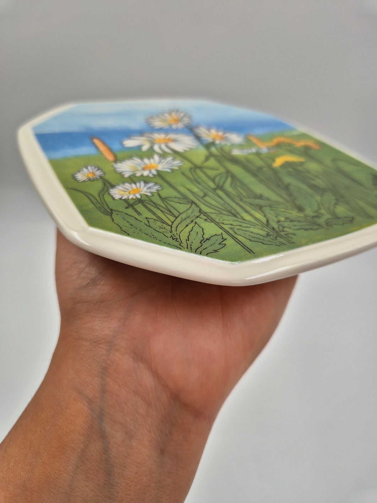 Arabia Päivänkakkara Wall Plate, 15 cm, Toivo G. Utriainen
