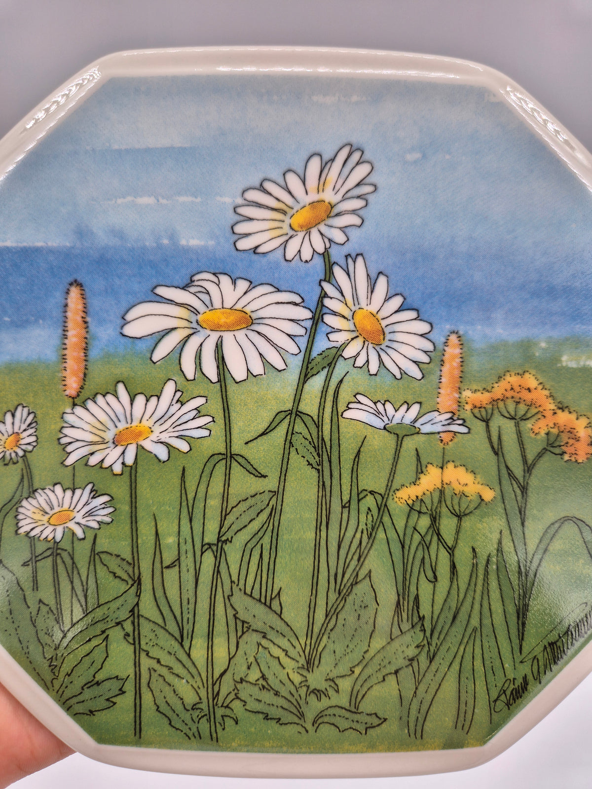 Arabia Päivänkakkara Wall Plate, 15 cm, Toivo G. Utriainen