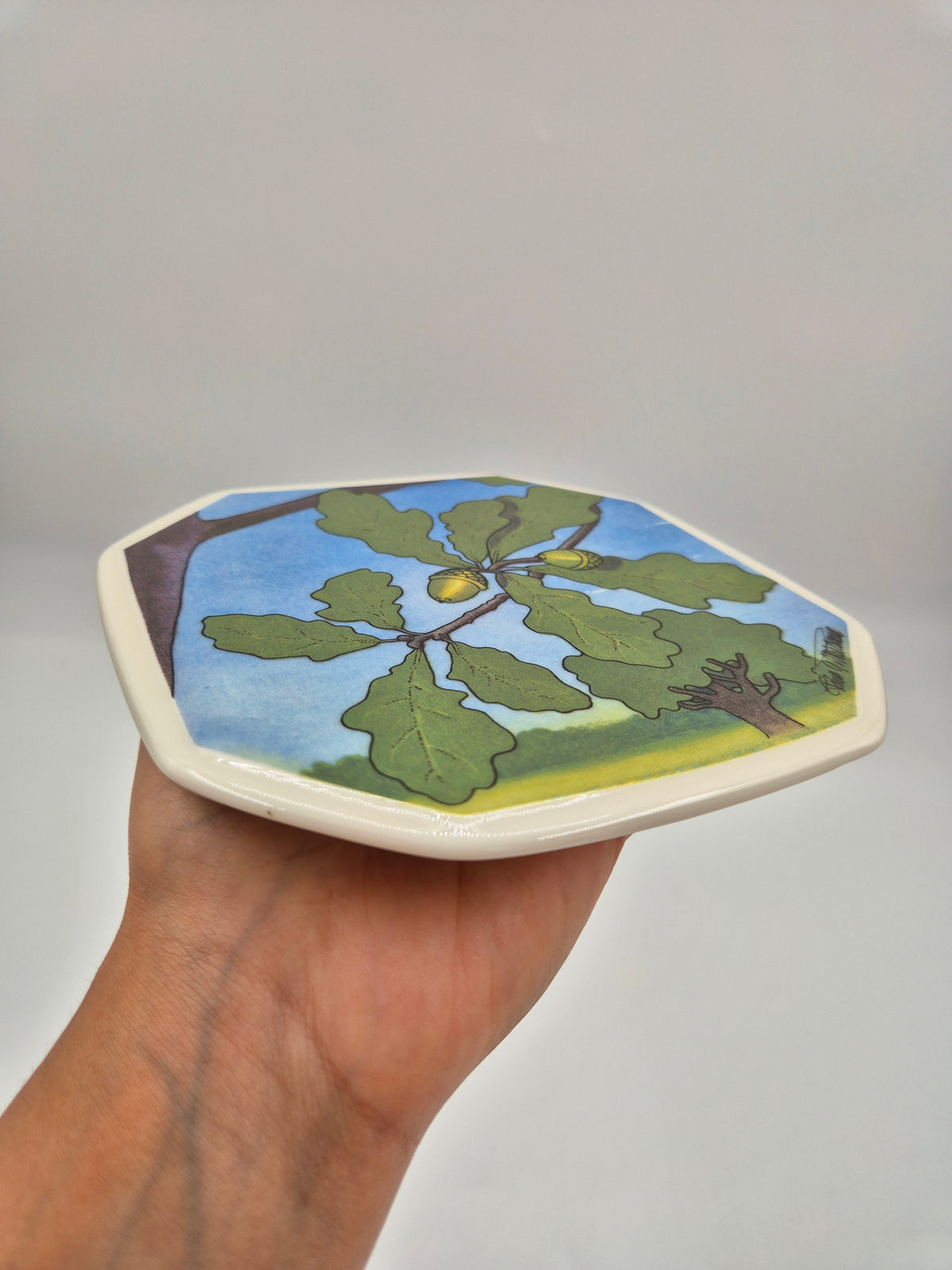 Arabia Tammi Wall Plate 15cm, Toivo G. Utriainen, Finnish Vintage Ceramic, Varsinais-Suomi Oak, 1993