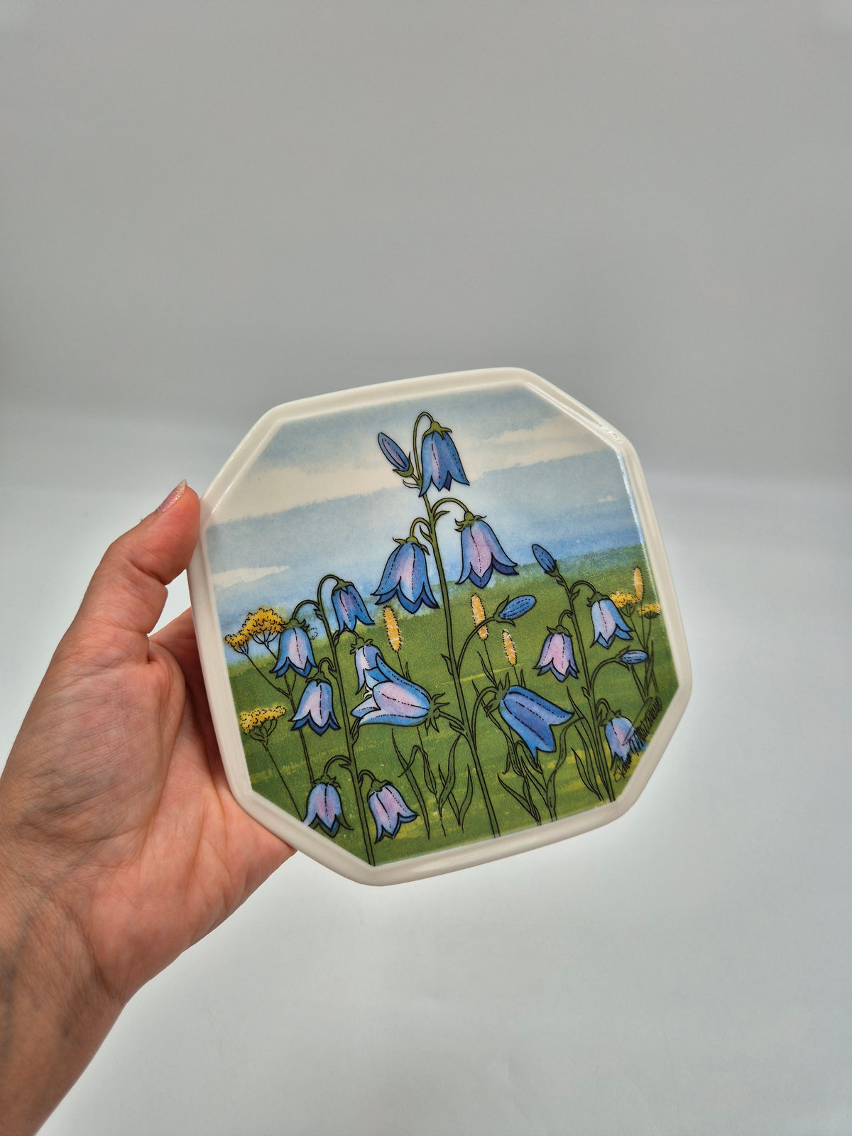Vintage Arabia Kissankello Wall Plate 15cm, Toivo G. Utriainen, Finnish Regional Flower, 1993