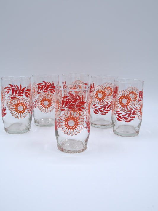 Se of Six Retro Drinking Glass