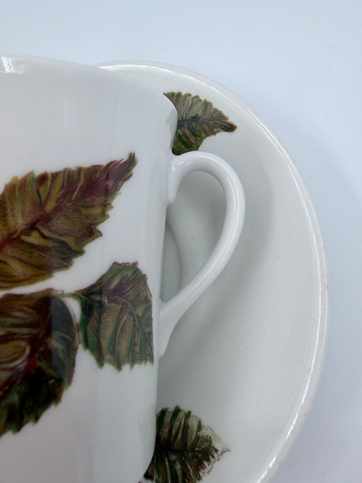 Arabia Ruusu Cup & Saucer Set Pink Rose Finland