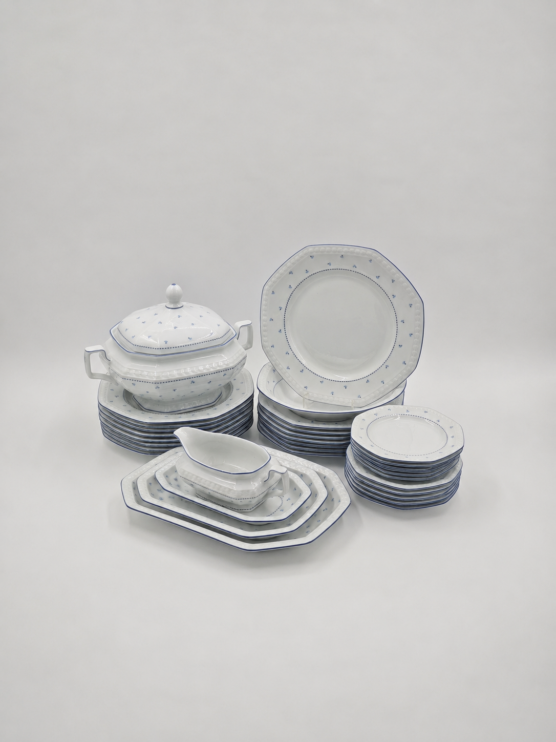 Seltmann Weiden Bavarian Porcelain Dinner Set - 37 pieces