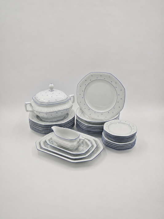 Seltmann Weiden Bavarian Porcelain Dinner Set - 37 pieces