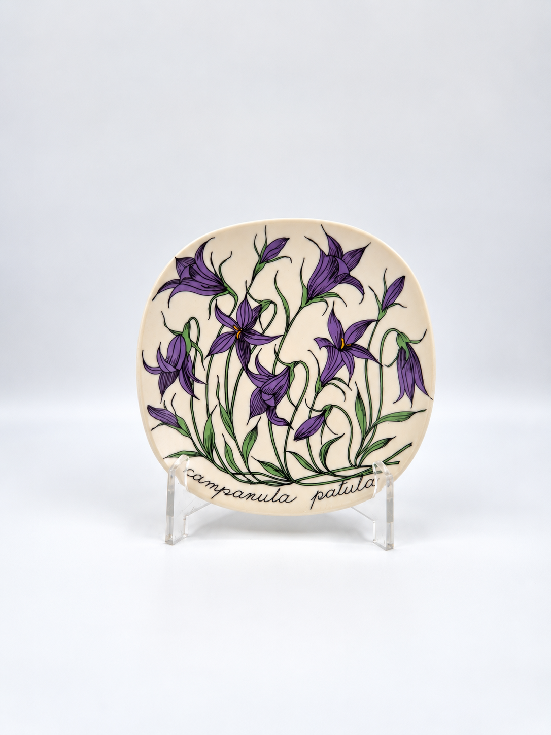 Arabia, Esteri Tomula, Botanica Campanula spatula (Harakankello, Spreading Bellflower) Wall Plate