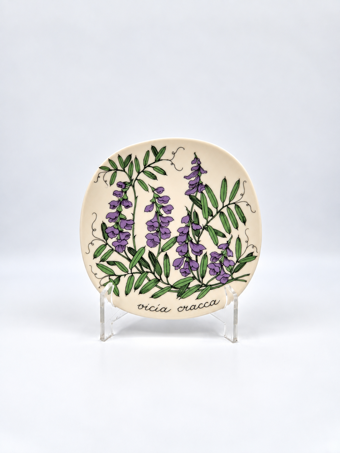 Arabia, Esteri Tomula, Botanica Vicia cracca (Hiirenvirna, Tufted Vetch) Wall Plate