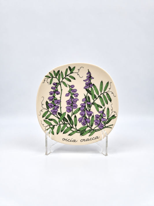 Arabia, Esteri Tomula, Botanica Vicia cracca (Hiirenvirna, Tufted Vetch) Wall Plate